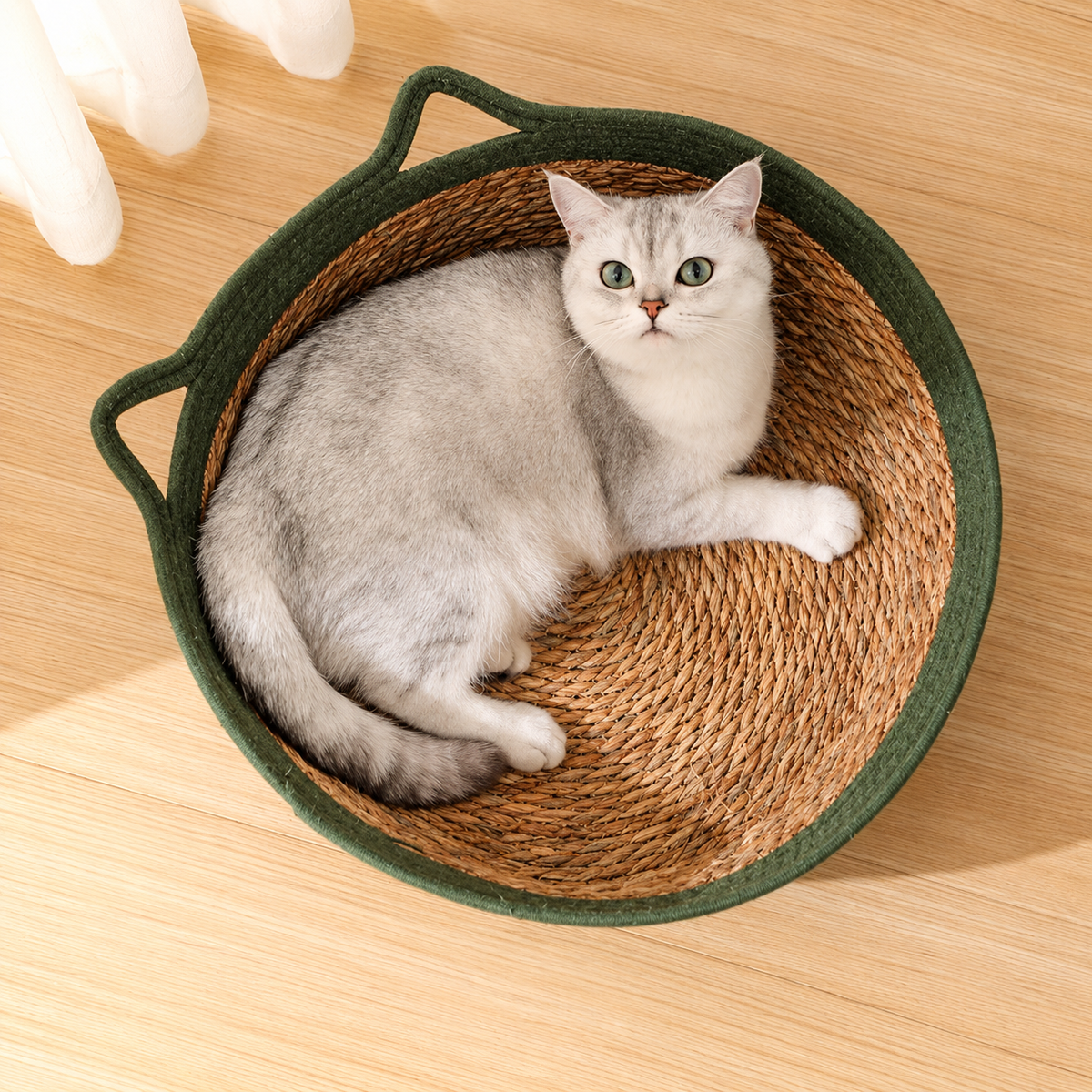 Panier pour chat en osier coton vert
