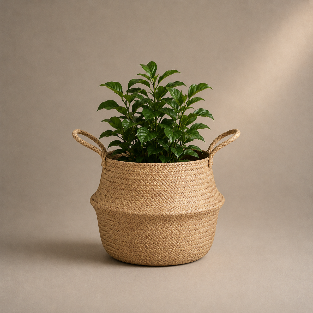 Cache-pot en osier tressé
