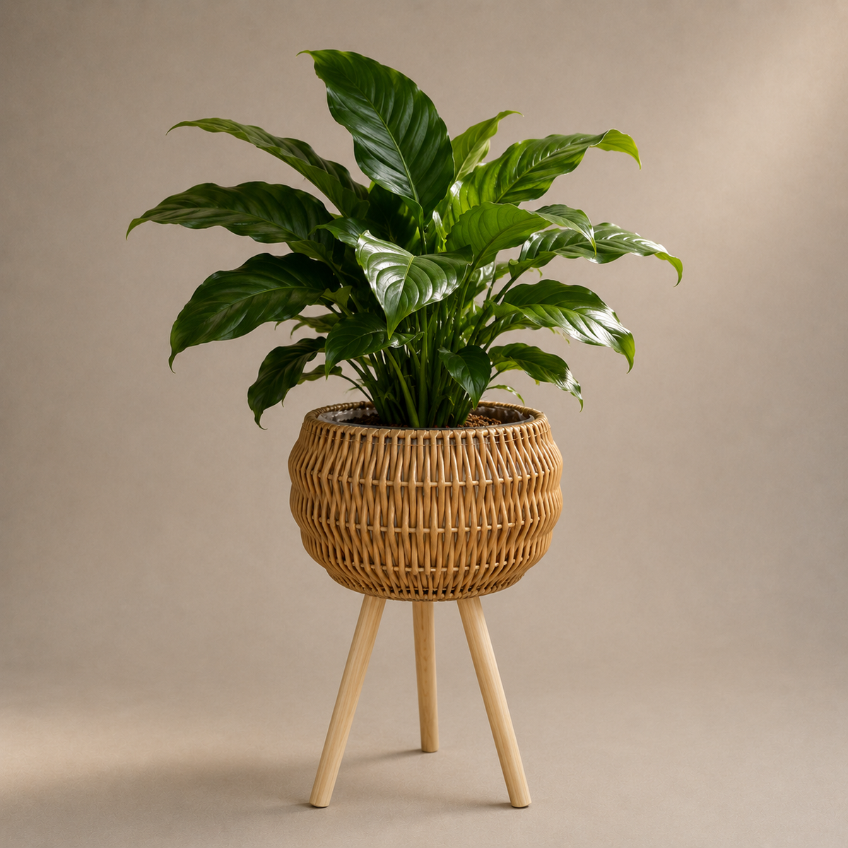Cache-pot boho en osier – vue 2